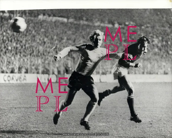 : Rugby - Soccer : Rugby - Soccer