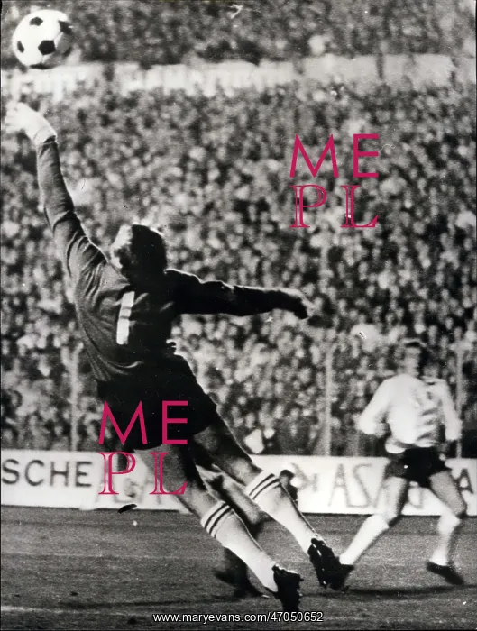 : Rugby - Soccer : Rugby - Soccer