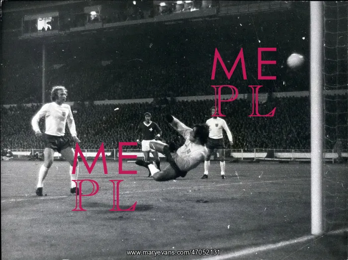 : Rugby - Soccer : Rugby - Soccer