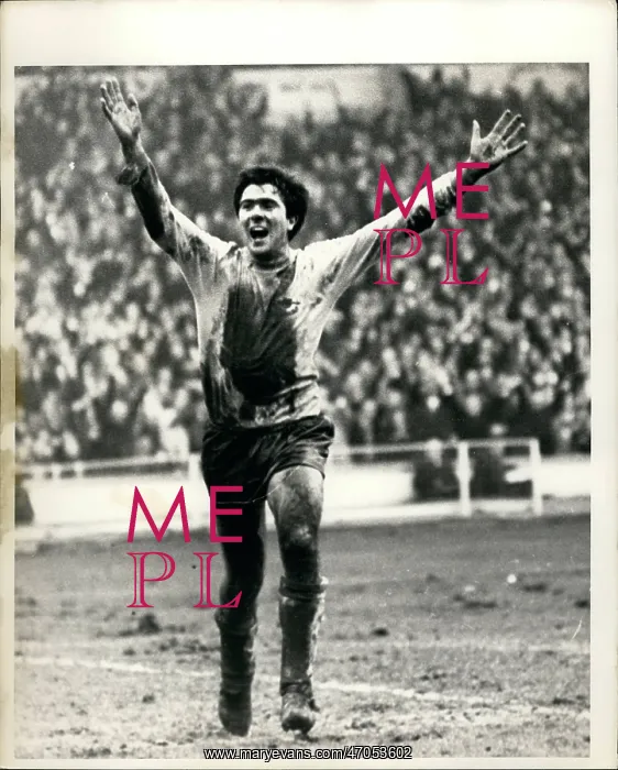 : Rugby - Soccer : Rugby - Soccer