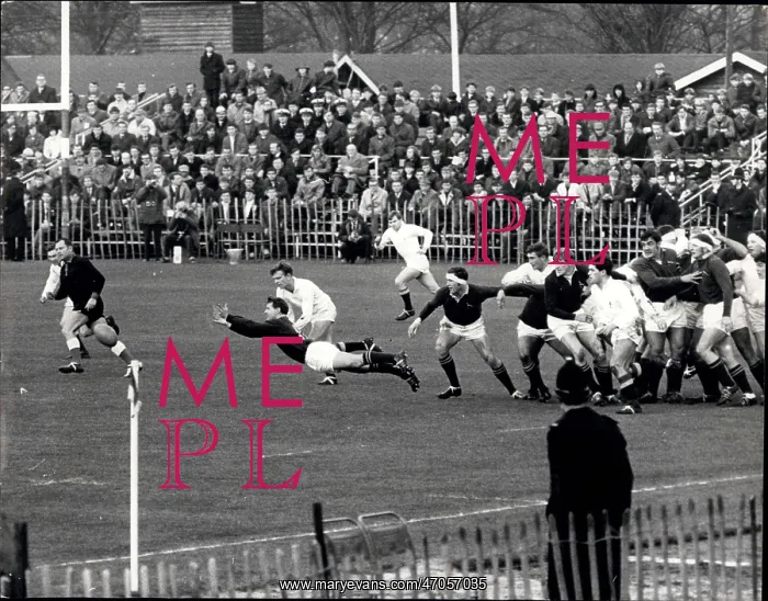 : Rugby - Soccer : Rugby - Soccer