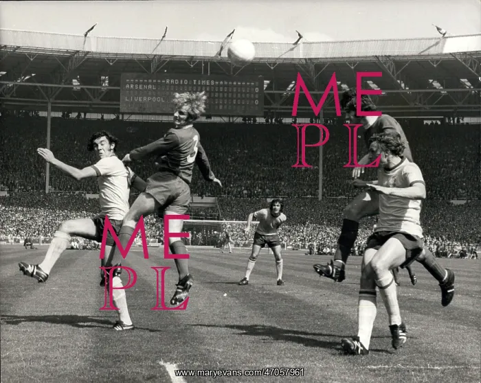 : Rugby - Soccer : Rugby - Soccer
