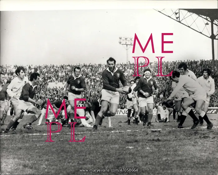 : Rugby - Soccer : Rugby - Soccer