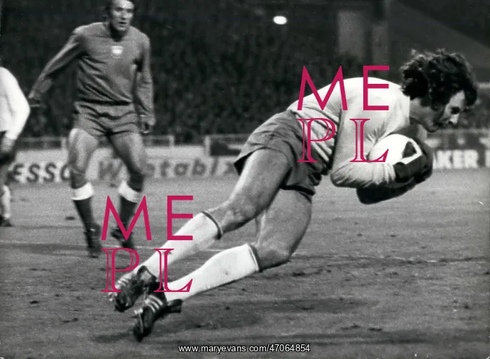 : Rugby - Soccer : Rugby - Soccer