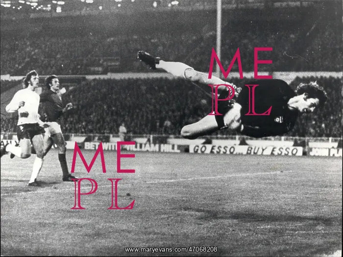 : Rugby - Soccer : Rugby - Soccer
