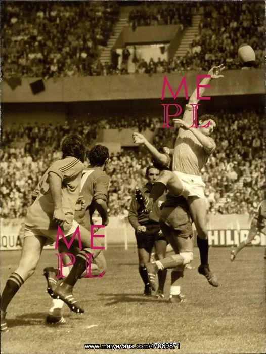 : Rugby - Soccer : Rugby - Soccer