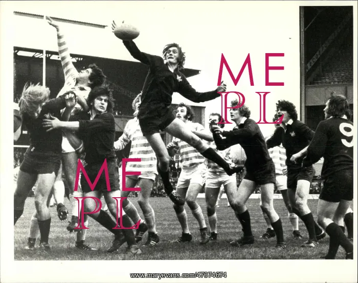 : Rugby - Soccer : Rugby - Soccer