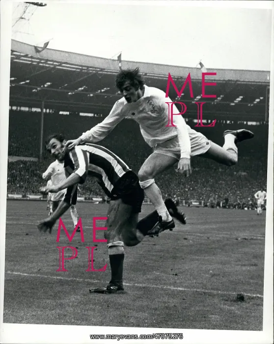 : Rugby - Soccer : Rugby - Soccer