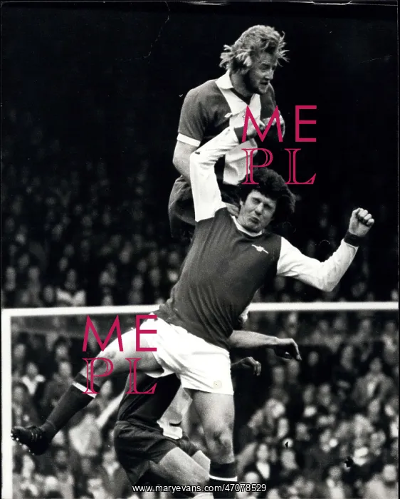 : Rugby - Soccer : Rugby - Soccer