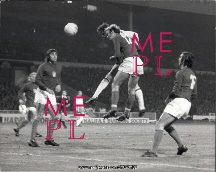 : Rugby - Soccer : Rugby - Soccer