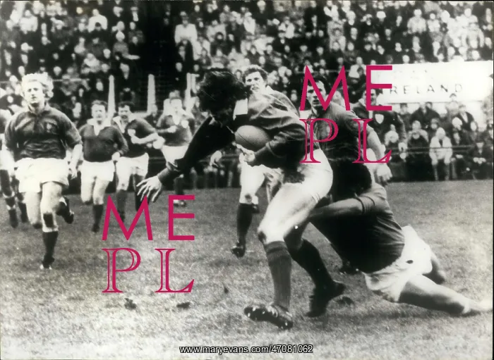 : Rugby - Soccer : Rugby - Soccer