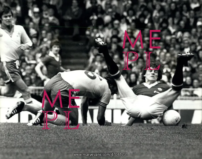 : Rugby - Soccer : Rugby - Soccer