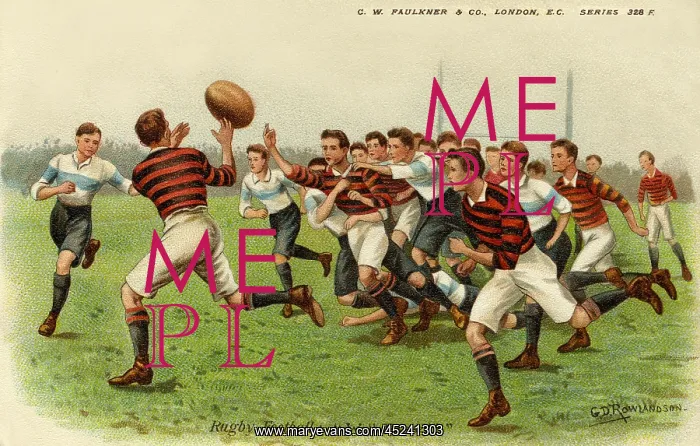 : Rugby Union : Rugby Union