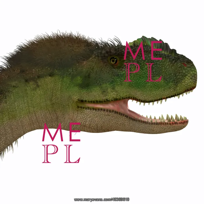 : Rugops dinosaur head : Rugops dinosaur head