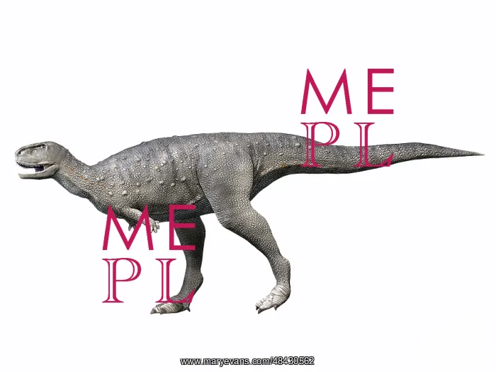  : Rugops primus, Late Cretaceous of Niger