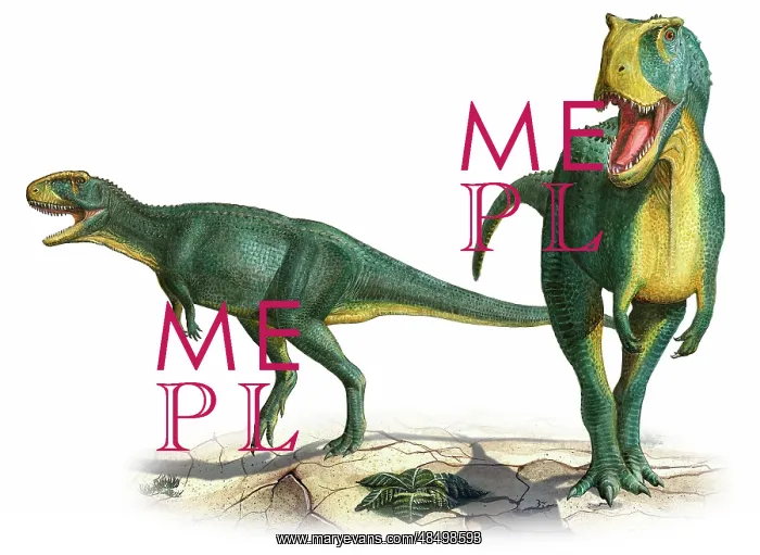 : Rugops primus, a prehistoric era dinosaur : Rugops primus, a prehistoric era dinosaur