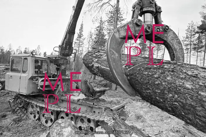 : Rugozero Timber Industry Enterprise : Rugozero Timber Industry Enterprise
