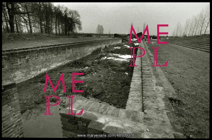 : Ruin Auschwitz-Birkenau : Ruin Auschwitz-Birkenau
