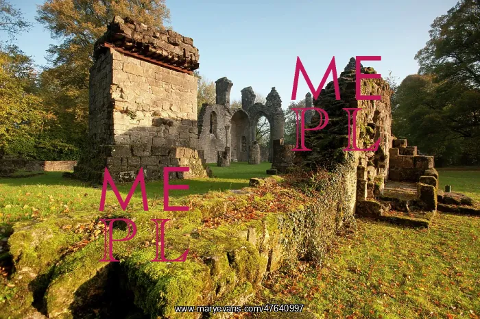 : Ruined abbey and Gobservation bunker. Montfaucon d'Argonne : Ruined abbey and Gobservation bunker. Montfaucon d'Argonne