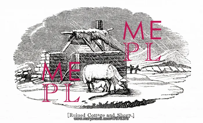 : Ruined cottage, sheep and lamb, by Thomas Bewick : Ruined cottage, sheep and lamb, by Thomas Bewick