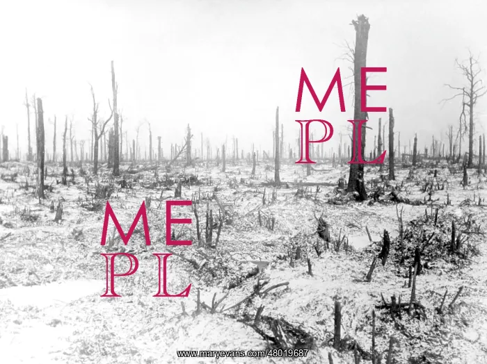 : Ruined trees in winter, WW1 : Ruined trees in winter, WW1