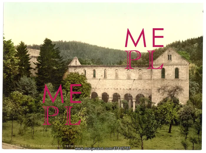 : Ruins of the convent, Paulinzella, Thuringia, Germany : Ruins of the convent, Paulinzella, Thuringia, Germany