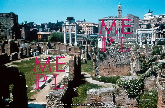 : Ruins of Forum, Rome with House of the Vestals : Ruins of Forum, Rome with House of the Vestals