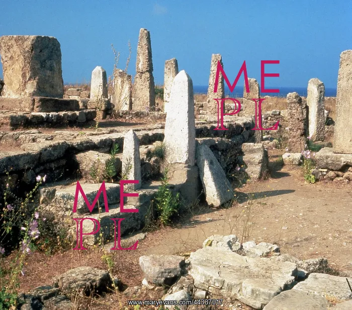 : The ruins of the Temple : The ruins of the Temple