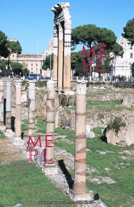 : Ruins of the Temple of Castor and Pollux. The : Ruins of the Temple of Castor and Pollux. The