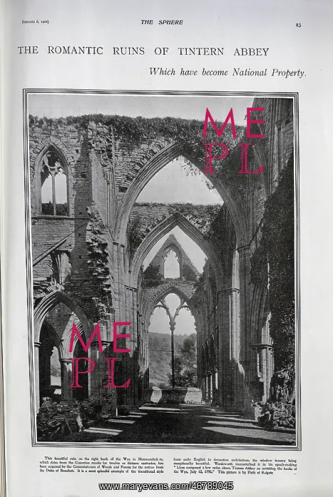 : Ruins of Tintern Abbey : Ruins of Tintern Abbey