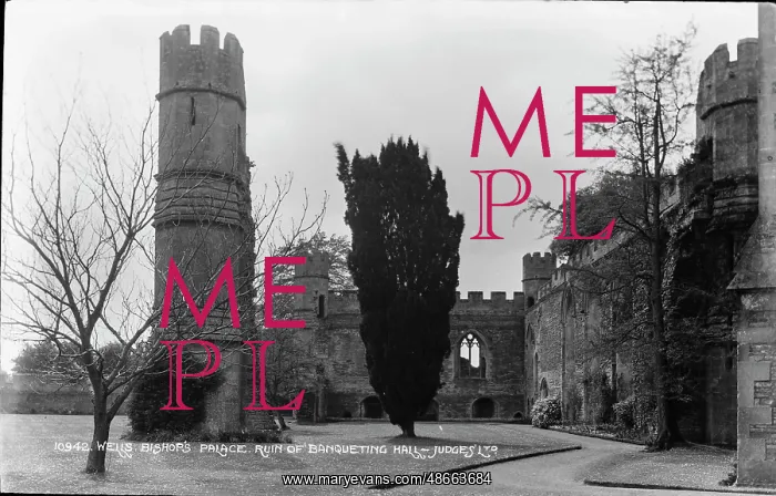 : Ruins of Wells Bishop's Palace : Ruins of Wells Bishop's Palace