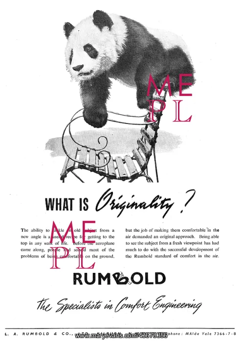  : Rumbold Aircraft Seating