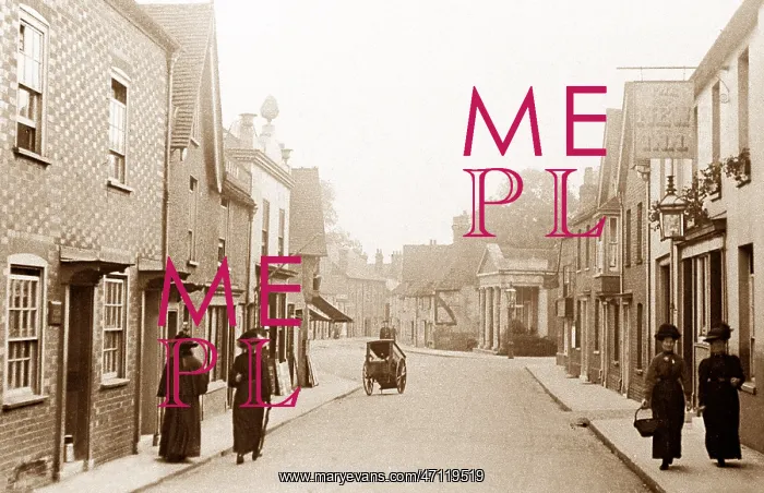  : Rumbolds Hill, Midhurst
