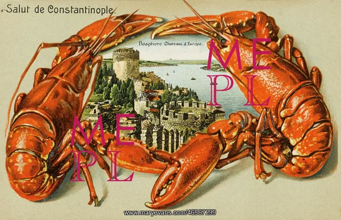: Rumeli Hisari, Constantinople : Rumeli Hisari, Constantinople