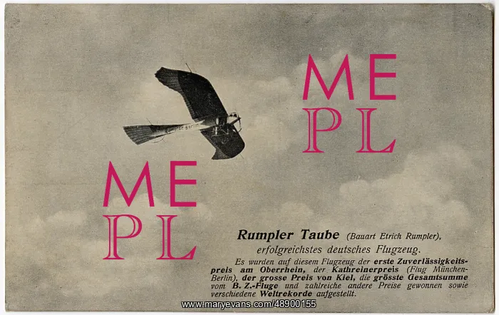 : RUMPLER TAUBE : RUMPLER TAUBE