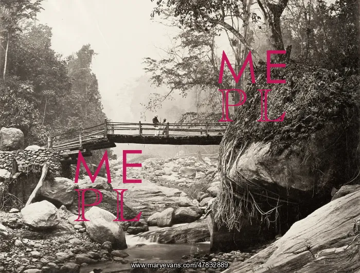 : Rungnoo River below Ging, Darjeeeling, India : Rungnoo River below Ging, Darjeeeling, India