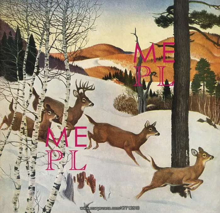  : Running Deers