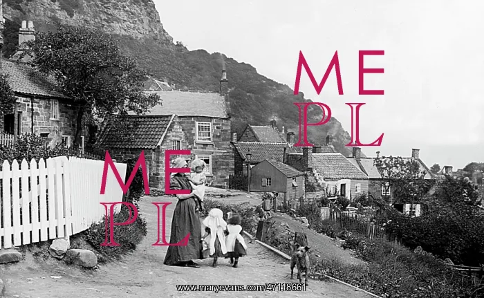  : Runswick Bay