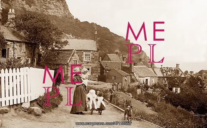  : Runswick Bay