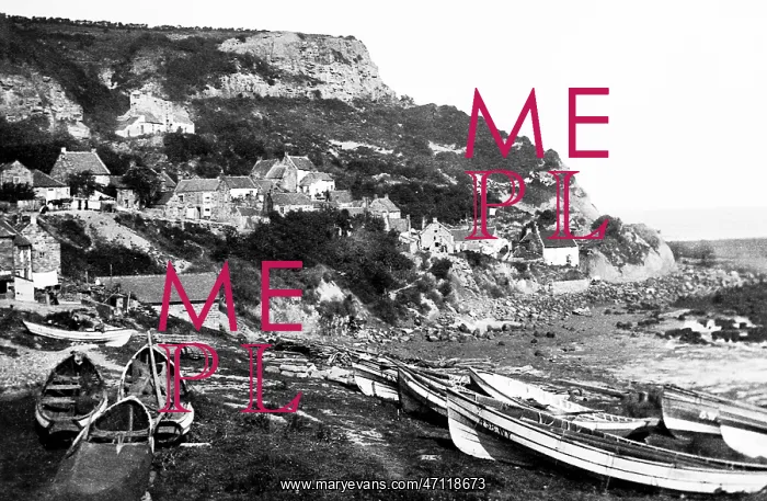  : Runswick Bay