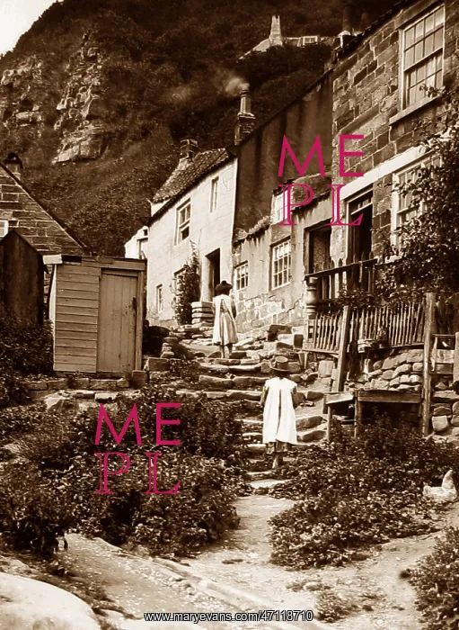  : Runswick Bay