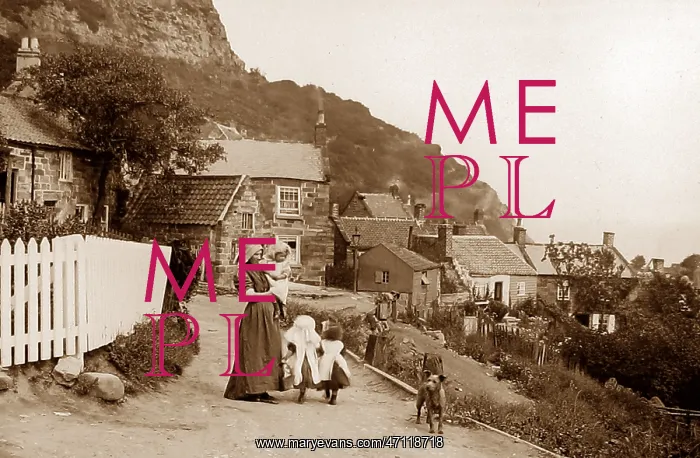  : Runswick Bay