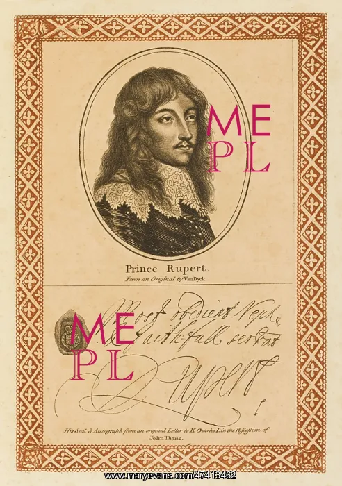 : RUPERT OF THE RHINE : RUPERT OF THE RHINE