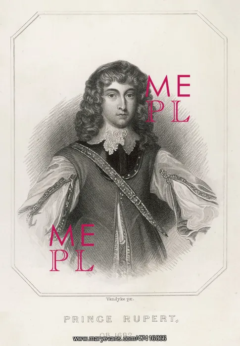 : Rupert of the Rhine : Rupert of the Rhine