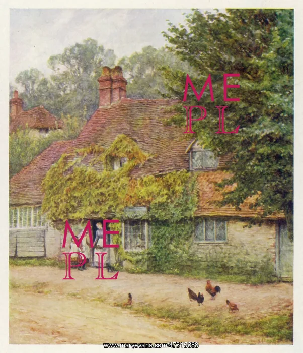  : RURAL FISH SHOP / 1887