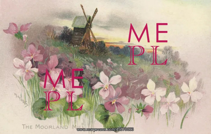: Rural Scene : Rural Scene