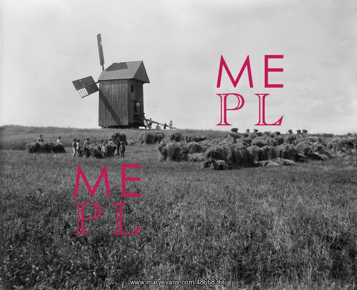 : Rural scene of an agricultural field with windmill : Rural scene of an agricultural field with windmill
