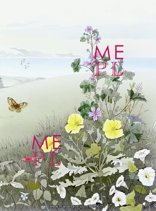 : Rural scene with flowers and a butterfly : Rural scene with flowers and a butterfly