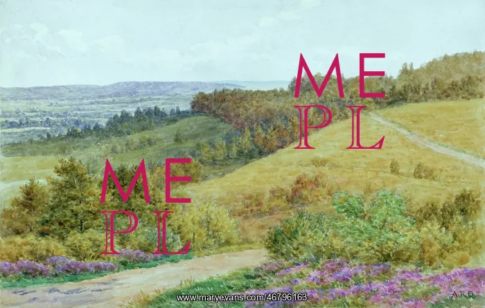 : Rural scene, Hindhead, Surrey : Rural scene, Hindhead, Surrey