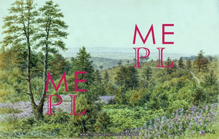 : Rural scene, Hindhead, Surrey : Rural scene, Hindhead, Surrey